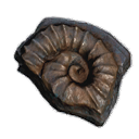 Fossil