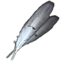 SeagullFeather